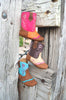 collection.image.alt